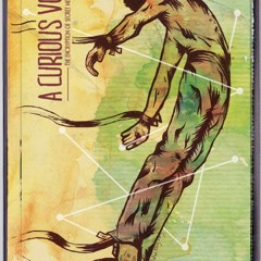 Back To The Estimation