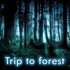 Trip to forest (SET)