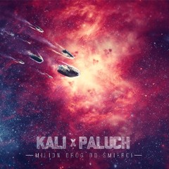 Kali & Paluch - Syntetyczna Ganja Mafia