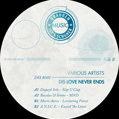 A.N.I.C.E. - Exceed The Limit