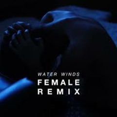 Cosmic Quest - Water Winds (Female Remix)[royalsounds.mu Premiere]