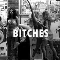 DNNYD Vs Sean&Bobo - Get The Bitches Goin (Audio Spliff Mashup)