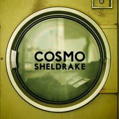 Cosmo Sheldrake - The Moss (Demo)
