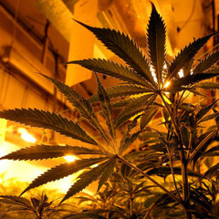 - Kopfnickershit - 2 - (keep their heads ringing-Dr.DRE-Cover) -