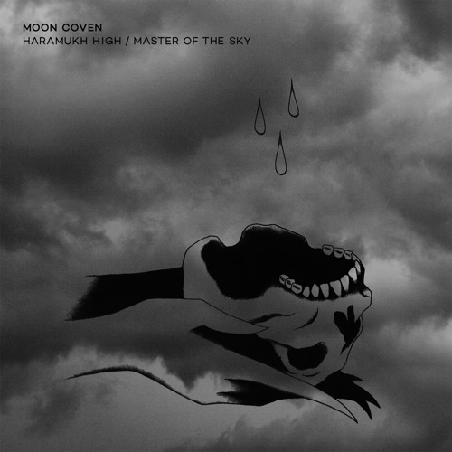 Master Of The Sky