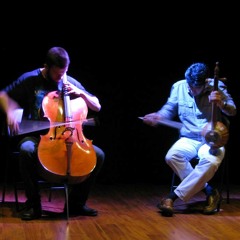 Audiopollination #22.1 - Shahriyar Jamshidi - Kamanche and Raphael Weinroth-Browne - Cello (Part 1)