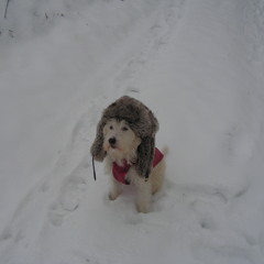 You Don't Know What You've Got Until It's Gone