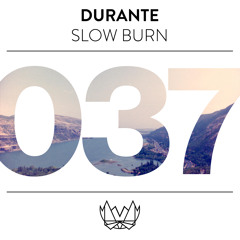 Durante - Slow Burn Feat. Chuck Ellis [NEST037]