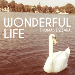 Thomas Lizzara - Wonderful Life (Bootleg) FREE DOWNLOAD