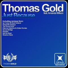 Thomas Gold feat. Amanda Wilson - Just Because (Sound Bridge mix)