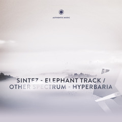 Sintez - Elephant Track (A-Cray remix) || Free tune - info in description