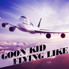 Flying Like