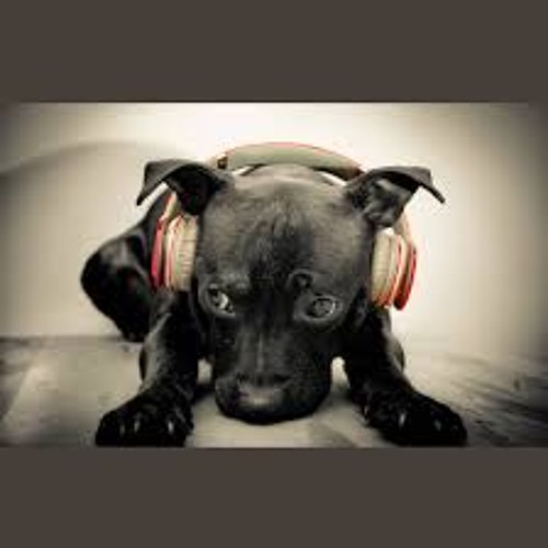 FHenrique - Tune up