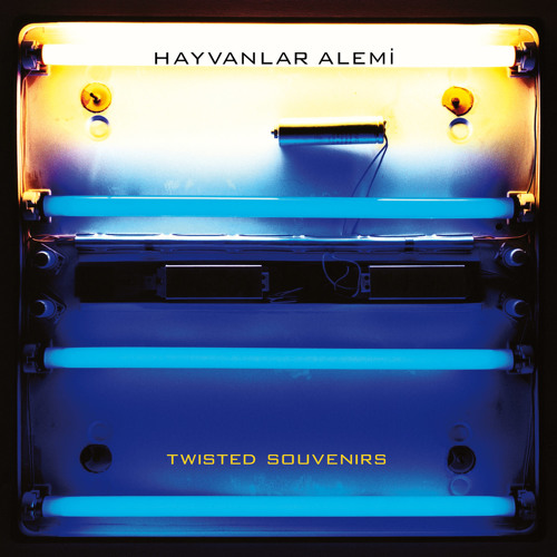 Hayvanlar Alemi - Karecikler Dolmadan