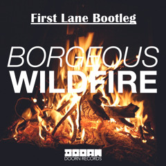Borgeous - Wildfire (First Lane Bootleg) *SNIP*