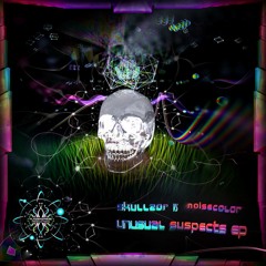 SKULLZOR _ LIVE ACT PREVIEW - TRANSAHARA FESTIVAL 2015