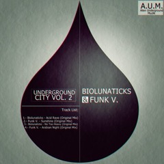 Funk V. - Arabian Night (Original Mix )Alien Underground Muzik BUY ON BEATPORT