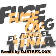 Fuse ODG - TINA Remix house 2014 by djstefx