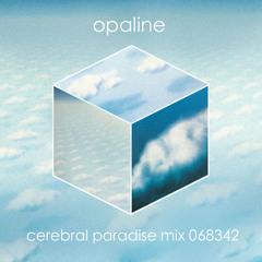 Cerebral Paradise Mix 068342 (for Rainbow Pyramid)