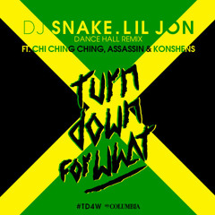 TURN DOWN FOR WHAT - Dancehall Remix (Clean)- Lil Jon ft. Assassin, Chi Ching Ching, Konshens