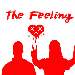 The Feeling X @Trulyrikks Prod By @Sultanmirprod