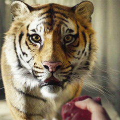 Phresh- Richard Parker