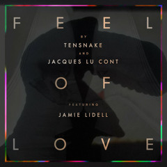 Tensnake & Jacques Lu Cont - Feel of Love (Feat. Jamie Lidell - Tyrex & Airplanes Bootleg Remix)