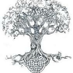 Poetry & Potent Trees Hunter Two Beers Solo