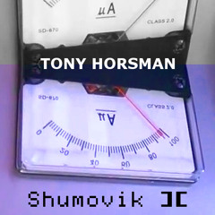 Shumovik II - System Demonstration #1