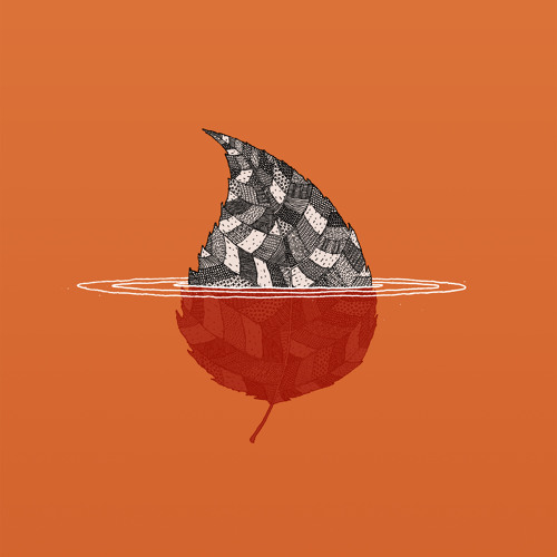 Jonnie Common - Shark