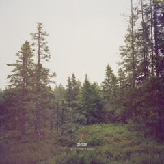 Gidge - Huldra