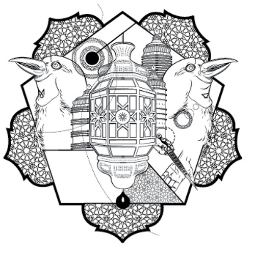PZYK0003 - Camera - Salamantra