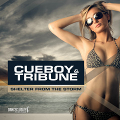 Cueboy & Tribune - Shelter From The Storm (Radio Edit) // DANCECLUSIVE //