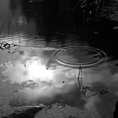 M.Modoolar-Every day