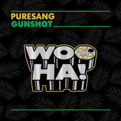 PURESANG - GUNSHOT (PREMIERED BY SMASH THE HOUSE #60)