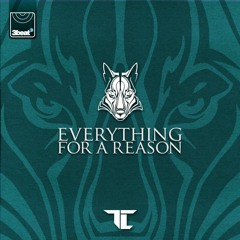 TC - Everything For A Reason [Ivy Lab Remix] [Mixcut]