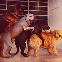 Nothing Is Sacred In Amarillo