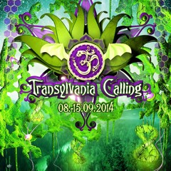 Spiky @ Transylvania Calling Romania 13.9.2014