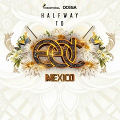 Road to Edc Mexico 2015 (Bunny Mix)
