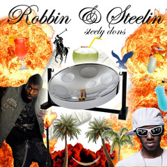 STEELY DONS - ROBBIN N STEELIN (all steel drum raps)