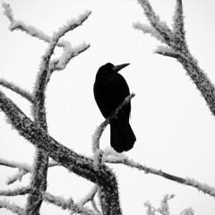 Impatience - Internat Wird Ohne K Geschrieben