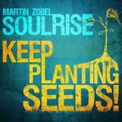 Martin Zobel & Soulrise -  Keep Planting Seeds [Irievibrations Rec / VPAL Music 2014]