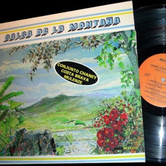 Quiero Andar - Orquesta Mulenze by Okere