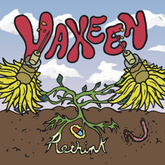 Vaxeen 2014 Debut Mix