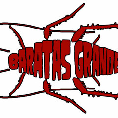 Baratas Grandes (Kães Vadius)