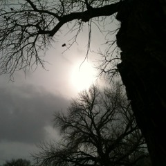 Glamour Morgue - Solstice Parade