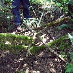 Probable Sasquatch Knocks Recorded by Anthony Barboza 9.14
