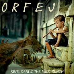 Sine, Dani & The Wild Bunch: LE ENO PESEM ŠE NAPIŠEM