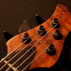 Sex in a Pan- Victor Wooten (bass cover)