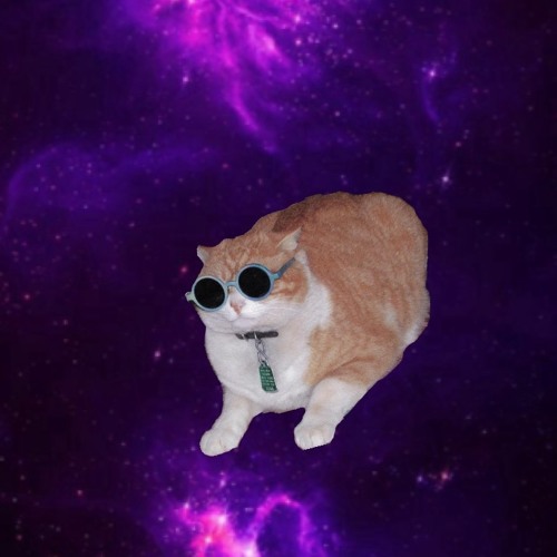 Checkem